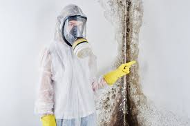 Best Forensic Mold Investigation  in East Glenville, NY